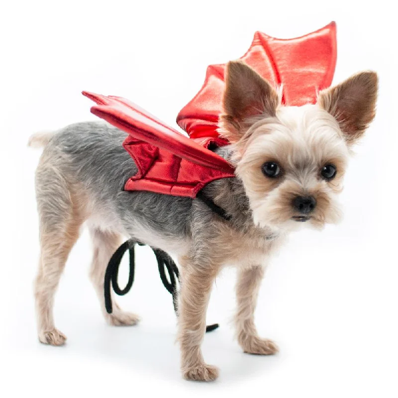 Dragon Wings Dog Costume