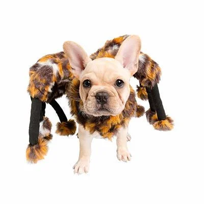 Spider Costume for Dogs