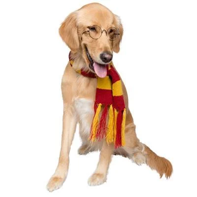 Hipster Wizard Dog Scarf Costume