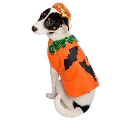 Pumpkin Dog Costume and Hat