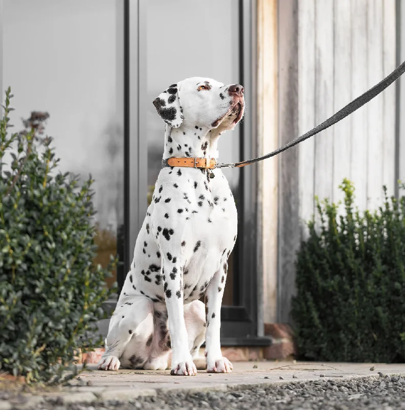 Essentials Herdwick Dog Lead in Graphite by Lords & Labradors