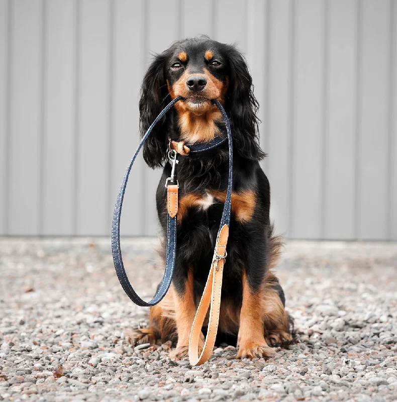 Essentials Twill Dog Lead in Denim by Lords & Labradors