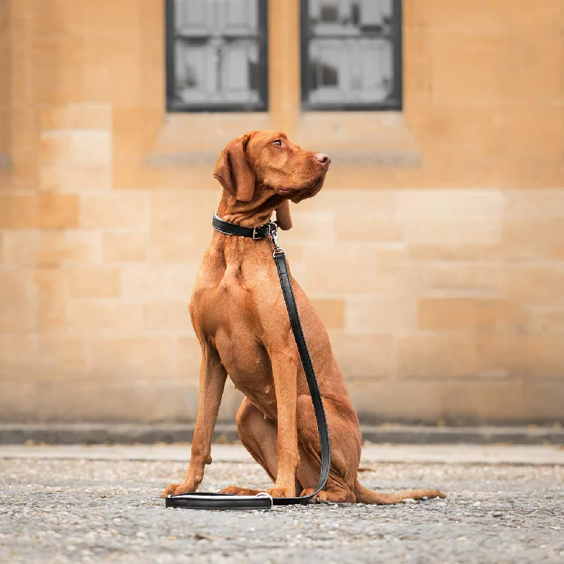 Italian Padded Leather Dog Lead in Black & Grey by Lords & Labradors