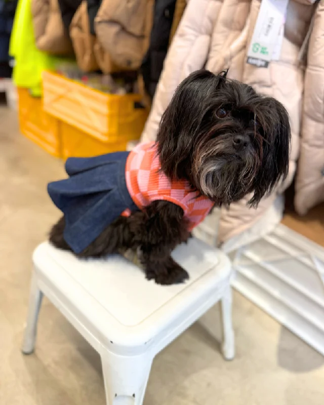 Doggie Denim Skirt (Made in the USA)